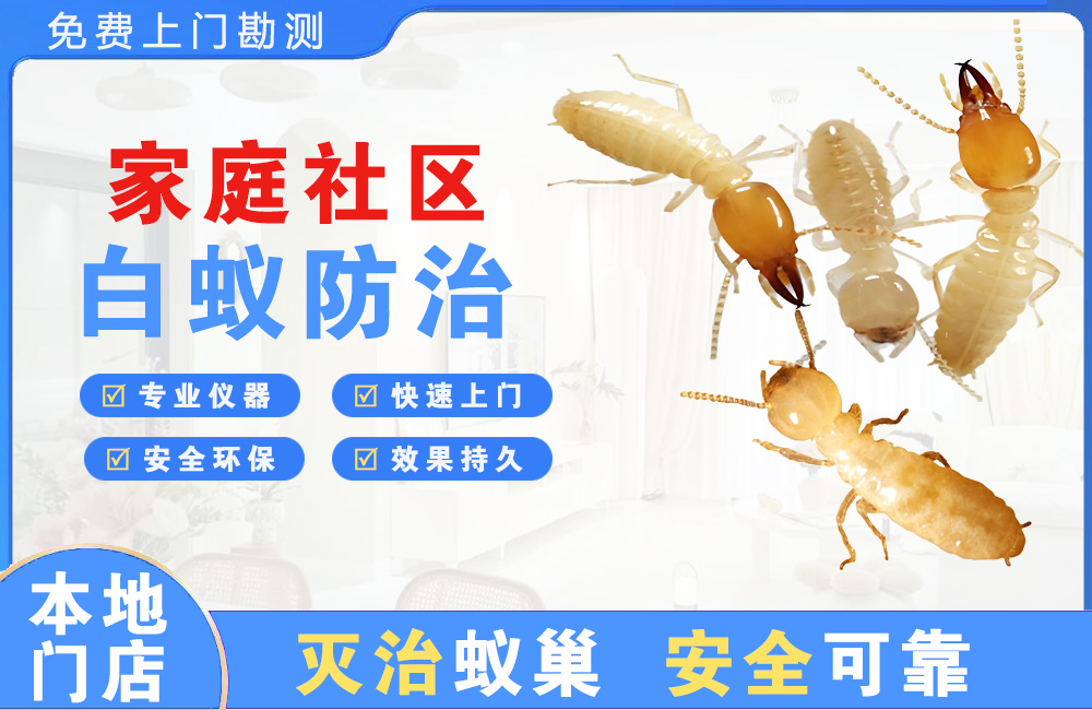 扬州家庭社区白蚁防治
