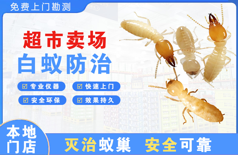 扬州超市卖场白蚁防治