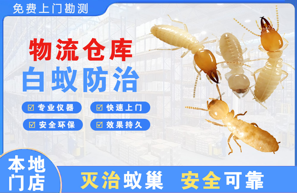 扬州物流仓库白蚁防治