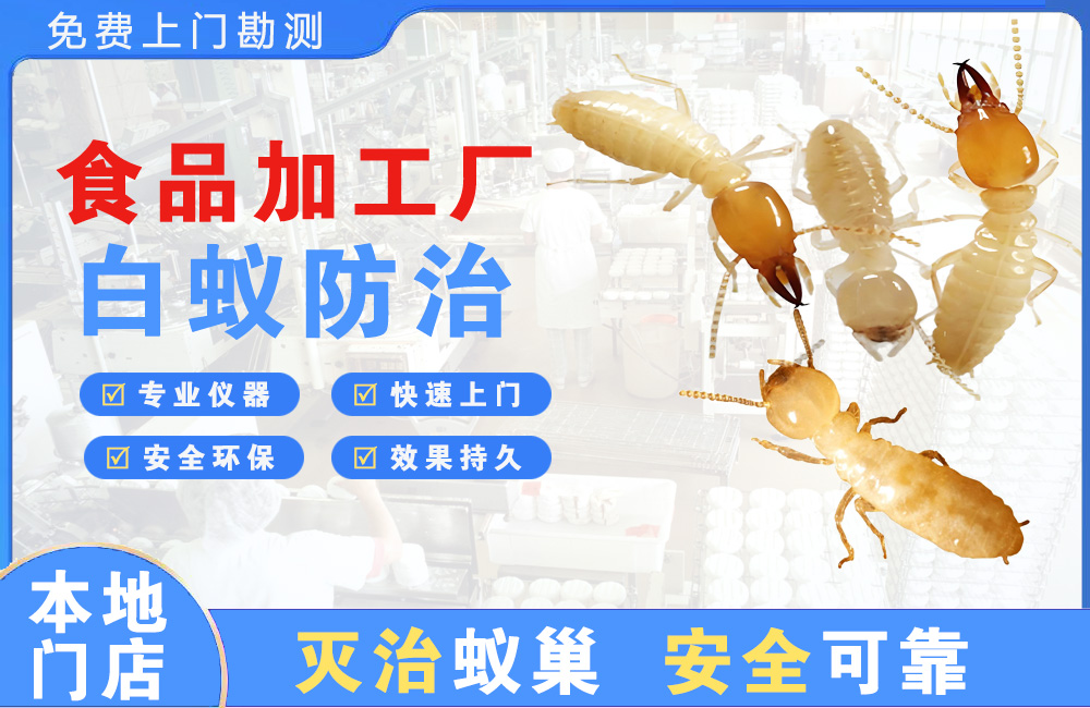 扬州食品加工厂白蚁防治