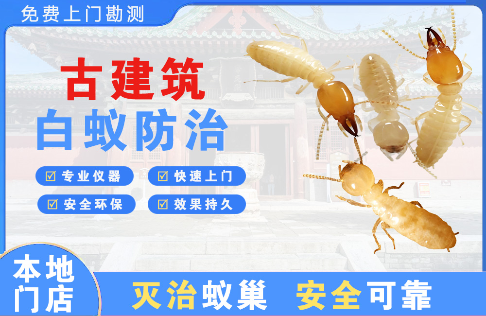 扬州古建筑白蚁防治