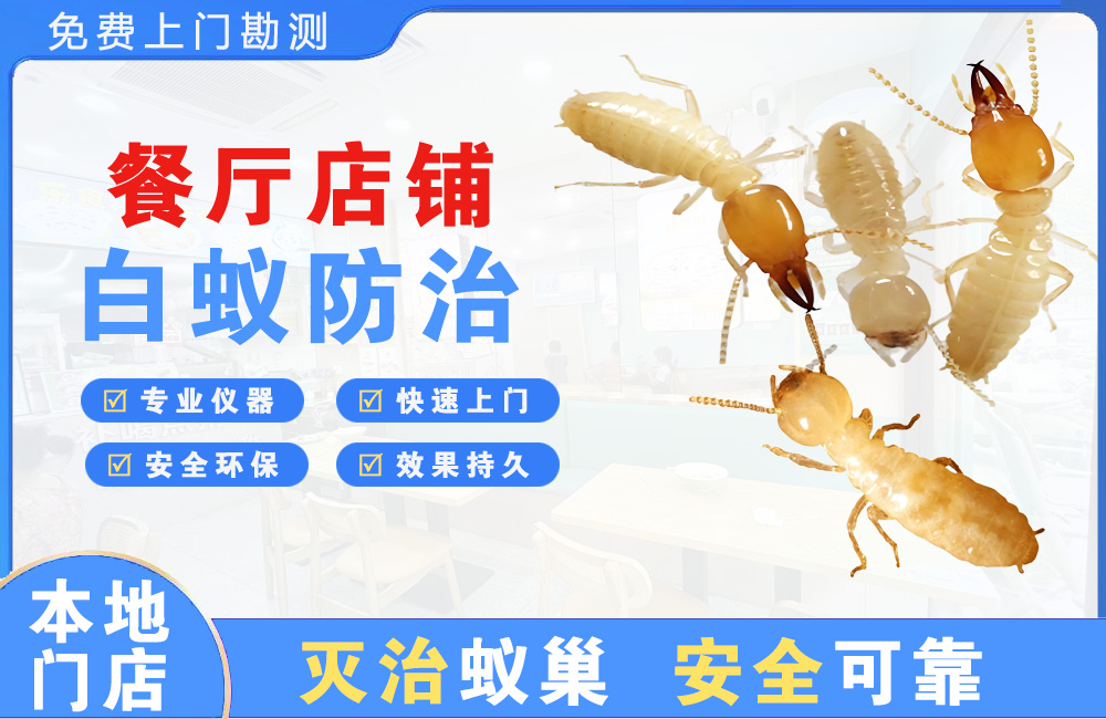 扬州餐厅店铺白蚁防治